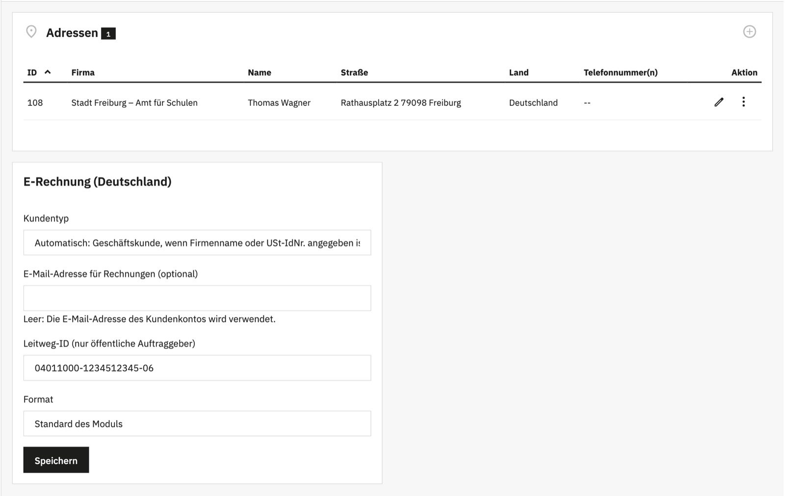Einstellungen zu Rechnungsformat und Leitweg-ID des Kunden